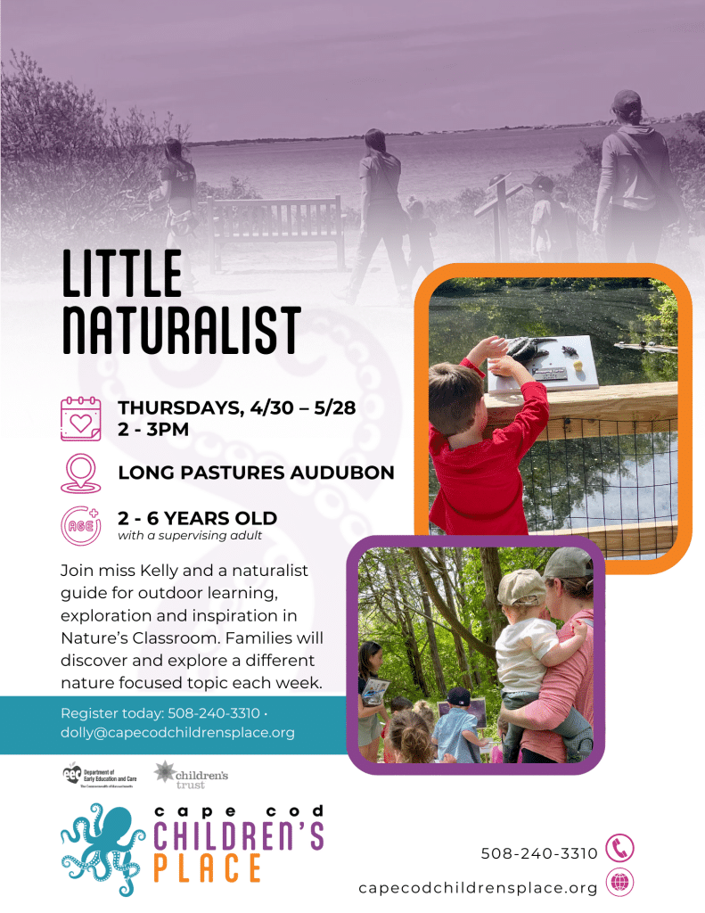FY26 Q4 Little Naturalist Playgroup