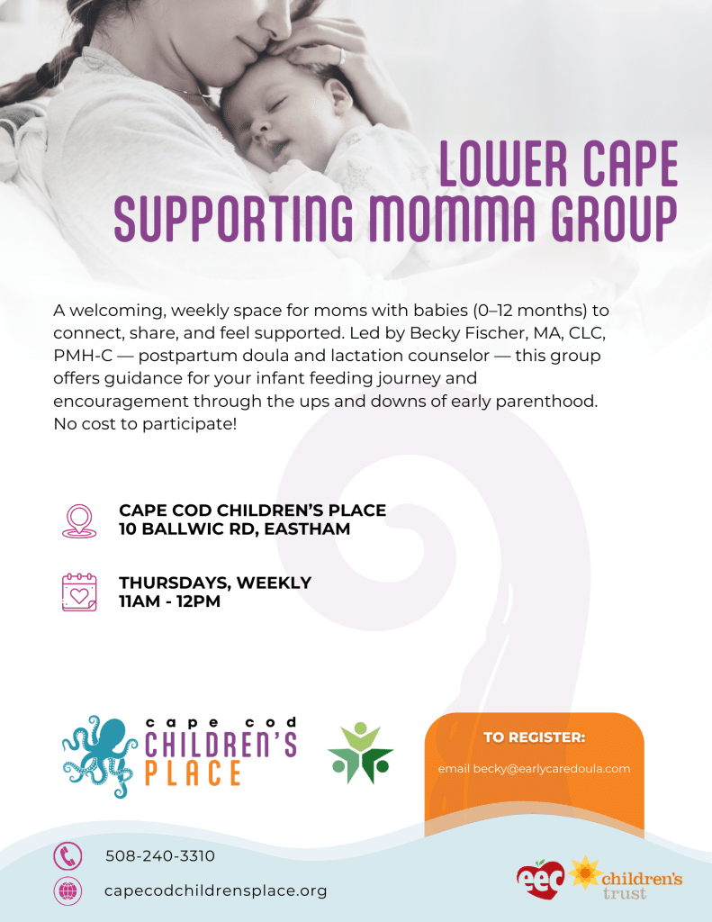 FY26 Q4 Lower Cape Supporting Momma Group