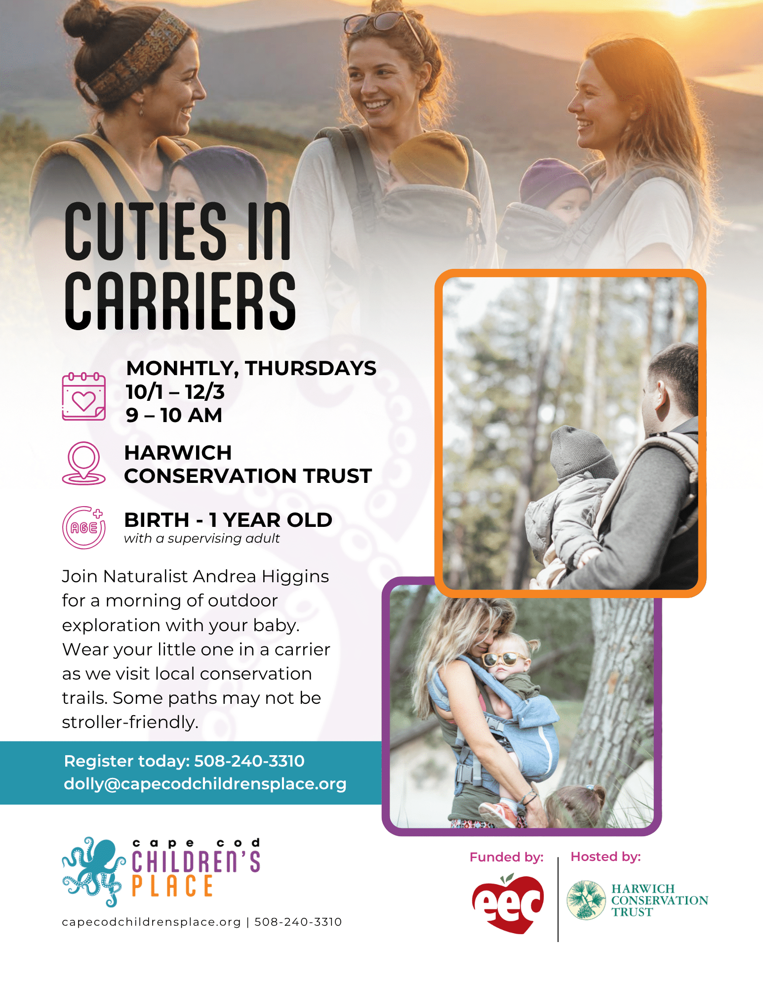 FY27 Q2 Cuties in Carriers