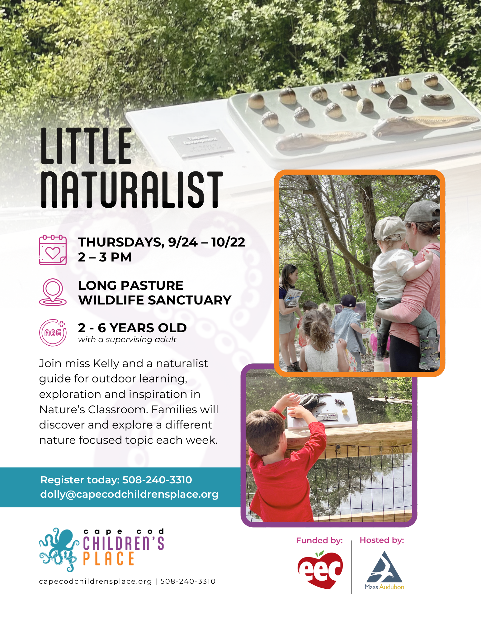 FY27 Q2 Little Naturalist